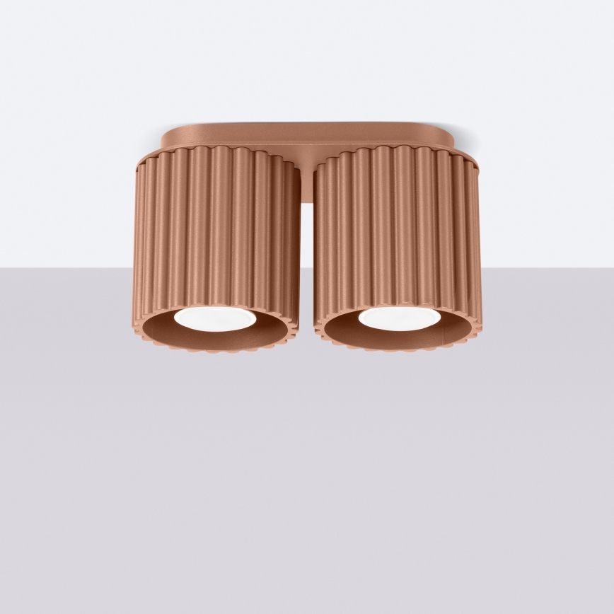 Spotleuchte AURA 2xGU10/10W/230V braun