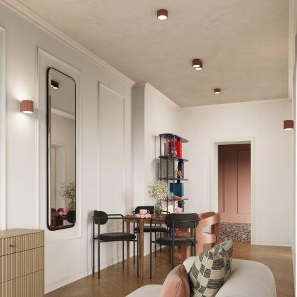 Spotleuchte AURA 1xGX53/10W/230V 6 cm braun