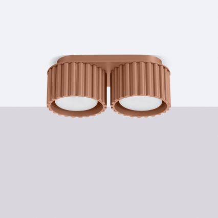 Spotleuchte AURA 2xGX53/10W/230V braun