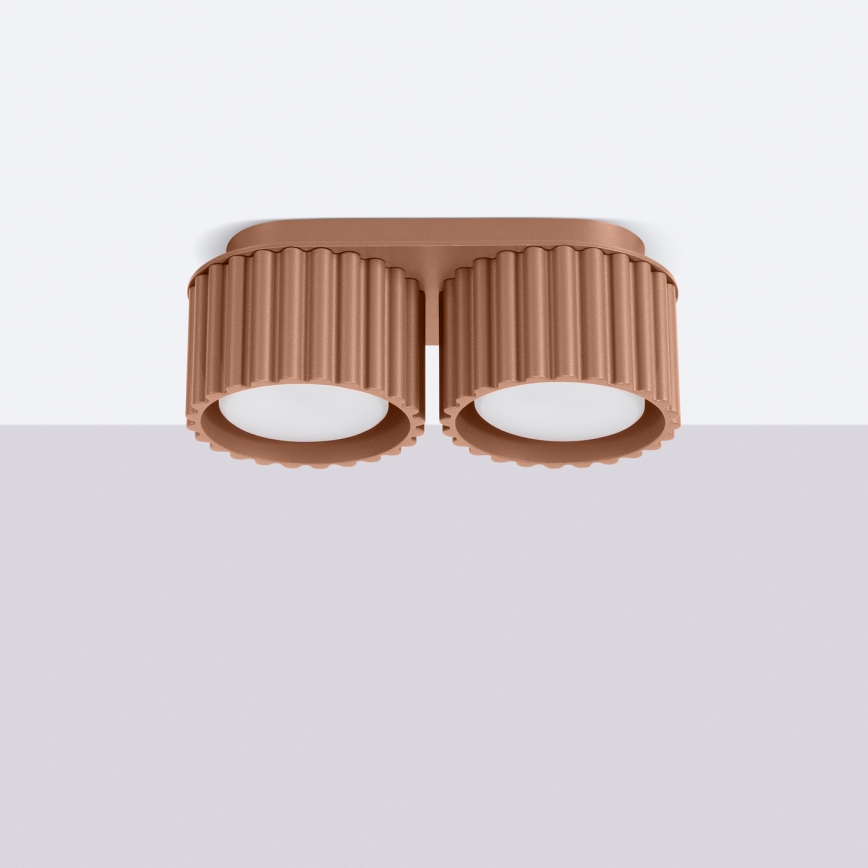 Spotleuchte AURA 2xGX53/10W/230V braun