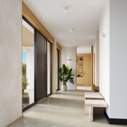 Spotleuchte ORBIS 1xGU10/10W/230V Beton/Creme