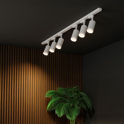 Spot für Schienensystem PIPE 6xGU10/10W/230V weiß