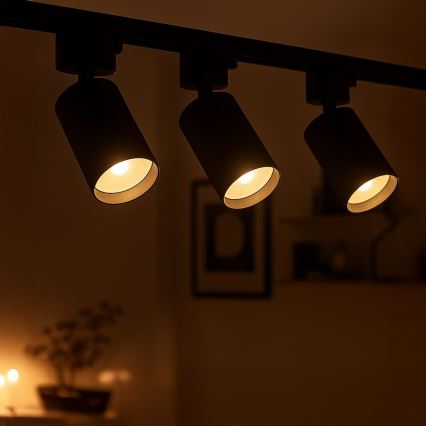 Spot-Leuchte für 1-phasiges Schienensystem TIGER 1xGU10/10W/230V schwarz