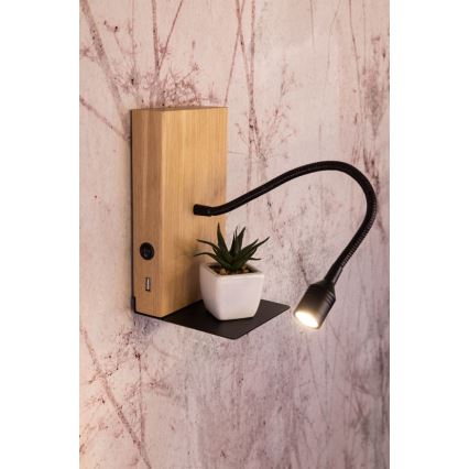 LED-Wandleuchte LECTOR LED/2,5W/230V USB Eiche