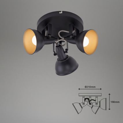 Spotleuchte 3xE14/40W/230V schwarz