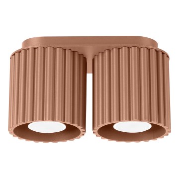 Spotleuchte AURA 2xGU10/10W/230V braun