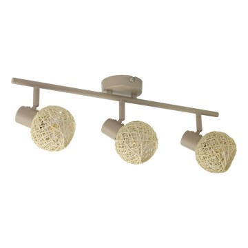 Spotleuchte DEX 3xE14/10W/230V beige/cremefarben