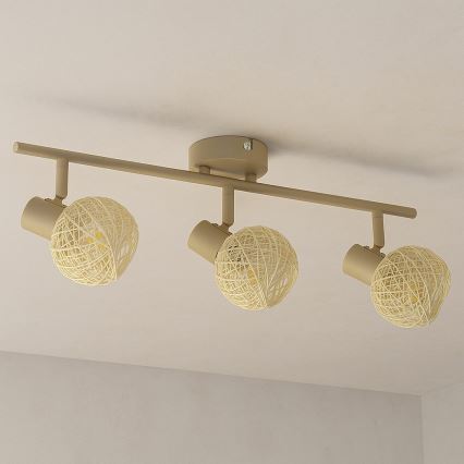 Spotleuchte DEX 3xE14/10W/230V beige/cremefarben