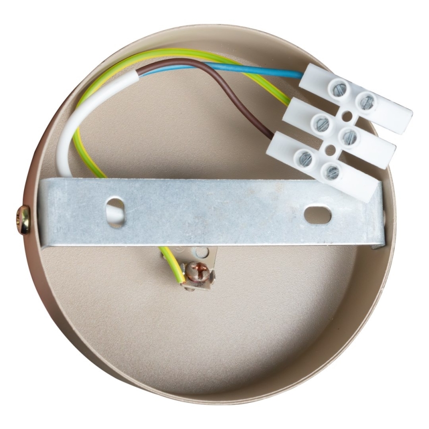 Spotleuchte DEX 3xE14/10W/230V beige/cremefarben