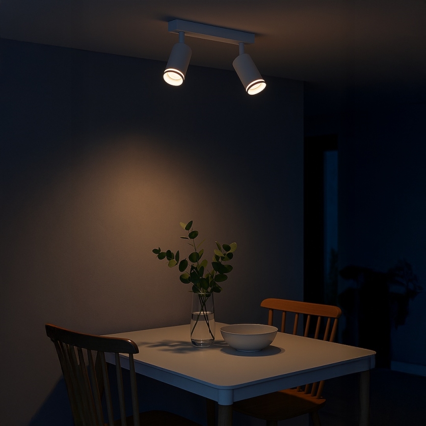 Spotleuchte PIPE 2xGU10/10W/230V weiß