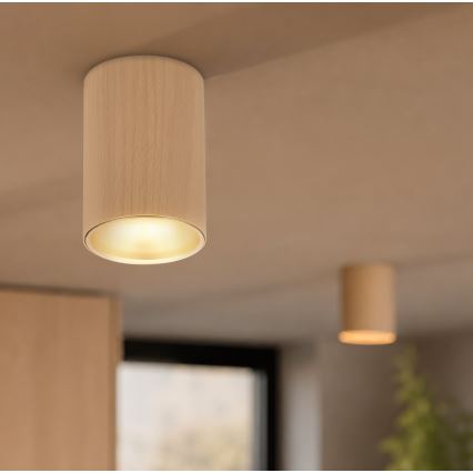 Spotleuchte TUBE 1xGU10/15W/230V beige