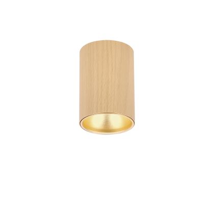 Spotleuchte TUBE 1xGU10/15W/230V beige