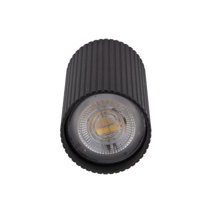 Spotleuchte TUNE S 1xGU10/10W/230V 10 cm schwarz