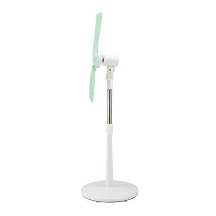 Standventilator 15 W/230 V, Ø 50 cm, weiß/grün