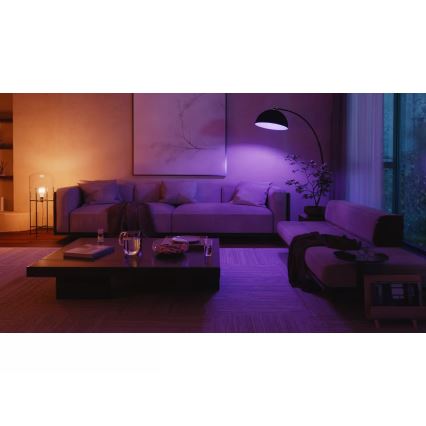 Basis-Set Philips Hue WHITE AND COLOR AMBIANCE 2xE27/8,1W 1000-20000K + Hue Bridge