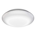 Steinel 035440 - LED Außenleuchte mit Sensor QUATTRO LED/10W/230V IP54