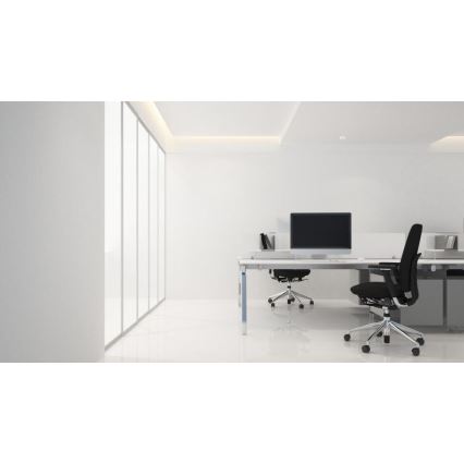 Steinel 053871 - Präsenzmelder IR Quattro Micro 6m DALI-2 IP65 weiß