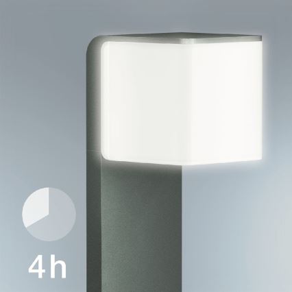 Steinel 055479 - Dimmbare LED-Außenleuchte mit Sensor CUBO LED/9,5W/230V IP44 anthrazit