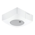Steinel 057411 - Lichtsensor DUAL-E DALI2 eckig weiß