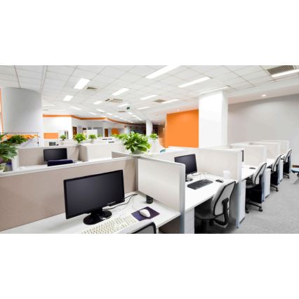 Steinel 057473 – Präsenzmelder DualTech DALI-2 weiß