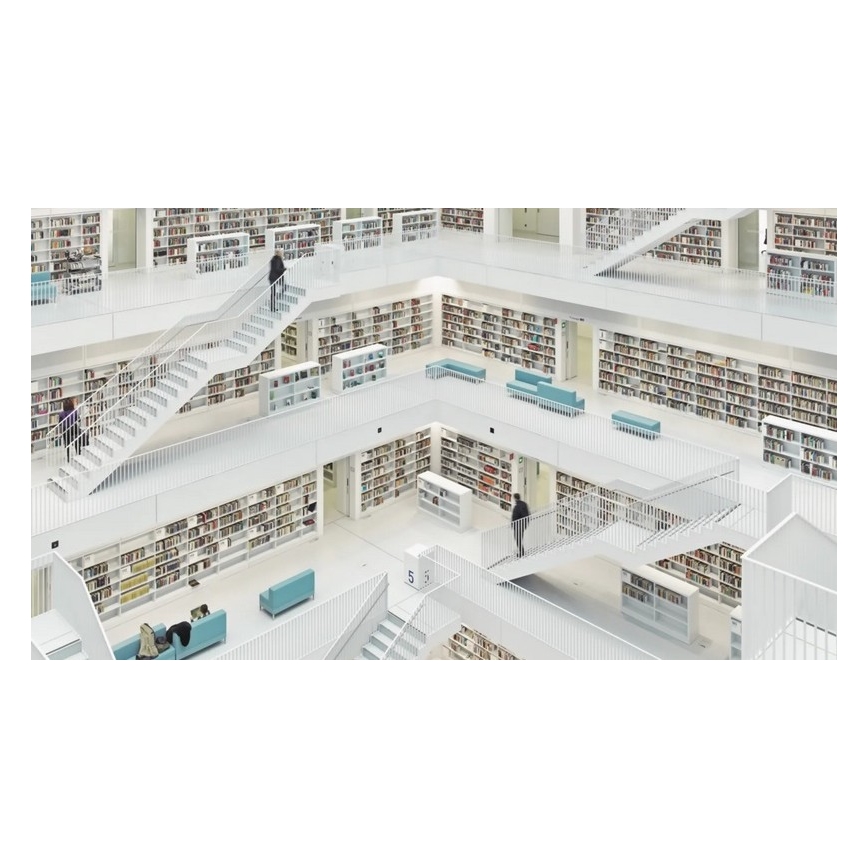 Steinel 079536 – Präsenzmelder HF 360 KNX weiß