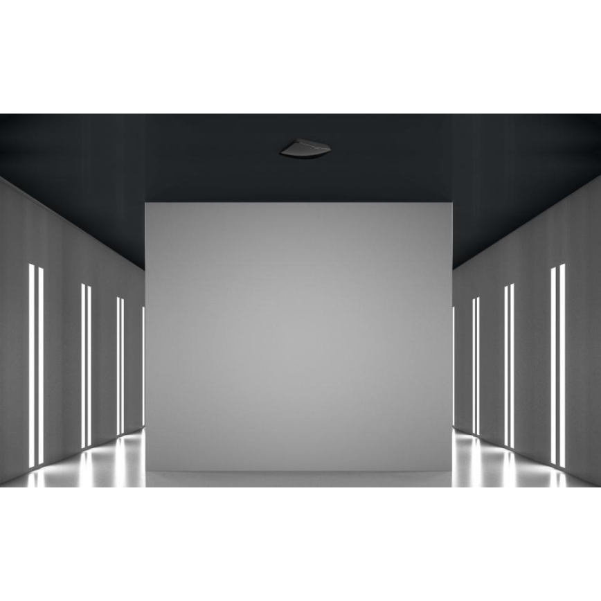 Steinel 082277 - Präsenzmelder HF 360-2 DALI-2 APC schwarz