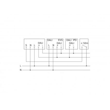 Steinel 088262 - Bewegungssensor mit Präsenzsensor PD-24 ECO DALI-2 360° schwarz