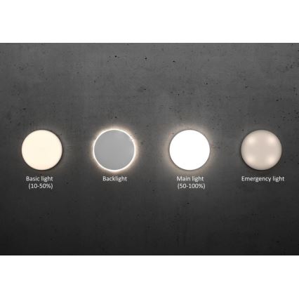 Steinel - Dimmbare LED-Deckenleuchte mit Sensor RSPROR20BASIC 15,3W/230V IP40 3000K