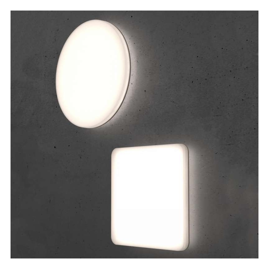 Steinel 067809 - LED Dimmbare Deckenleuchte mit Sensor RS PRO R10 BASIC SC LED/8,5W/230V 4000K IP40