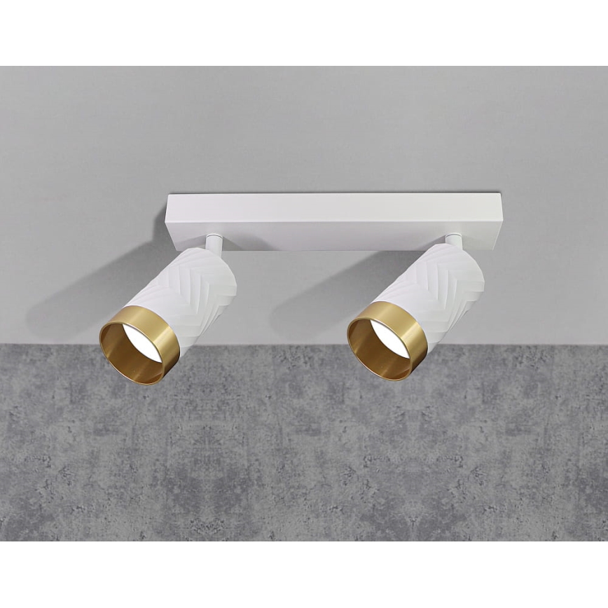 Strahler ARRAS 2xGU10/10W/230V weiß