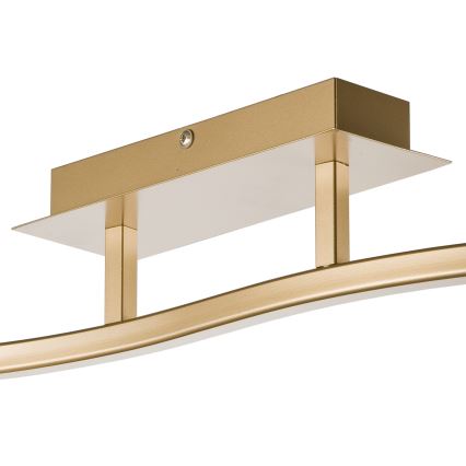 Strahler KLARA 2xE14/40W/230V golden