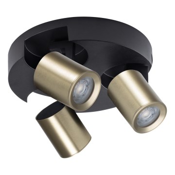 Strahler LAURIN 3xGU10/10W/230V Messing/schwarz