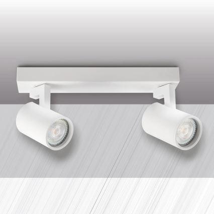 Strahler LYNX 2xGU10/10W/230V weiß