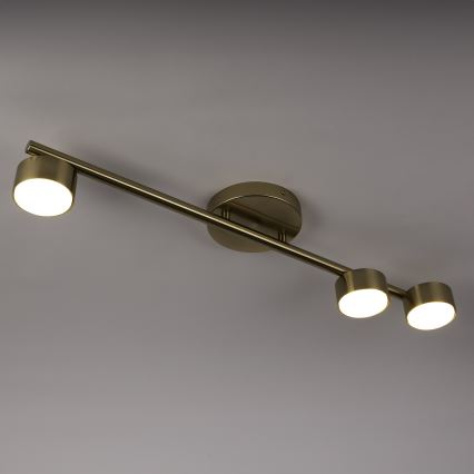 Strahler PUNTO 3xGX53/12W/230V golden