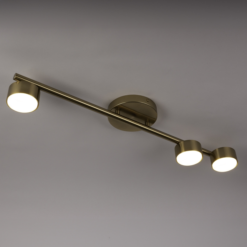 Strahler PUNTO 3xGX53/12W/230V golden