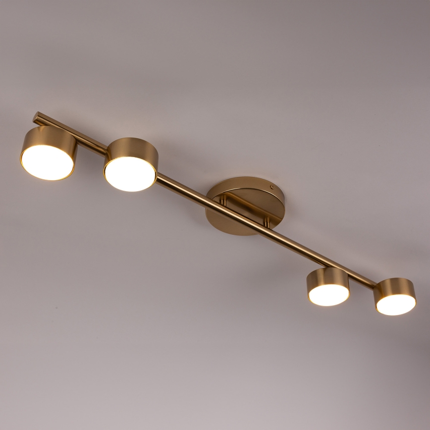 Strahler PUNTO 4xGX53/12W/230V golden