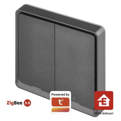 Switch 2-Tasten GoSmart Tuya schwarz