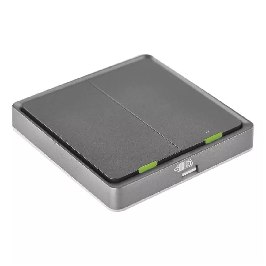 Switch 2-Tasten GoSmart Tuya schwarz