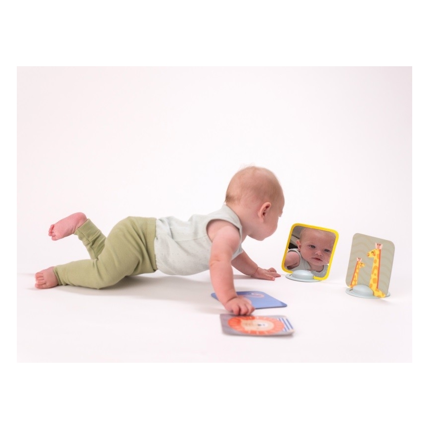Taf Toys - Bauchzeitkarten 18 Stück
