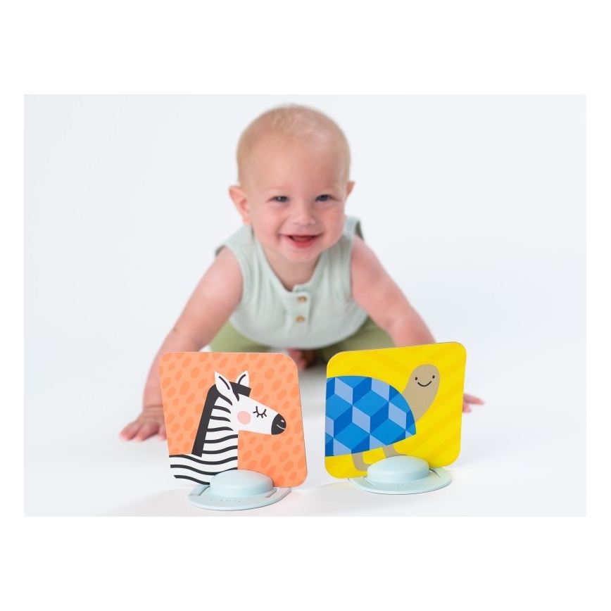 Taf Toys - Bauchzeitkarten 18 Stück