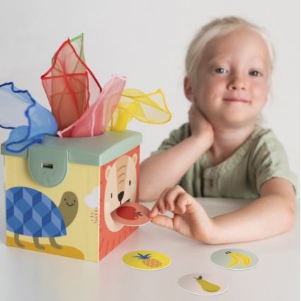 Taf Toys - Interaktive Spielbox MAGIC BOX