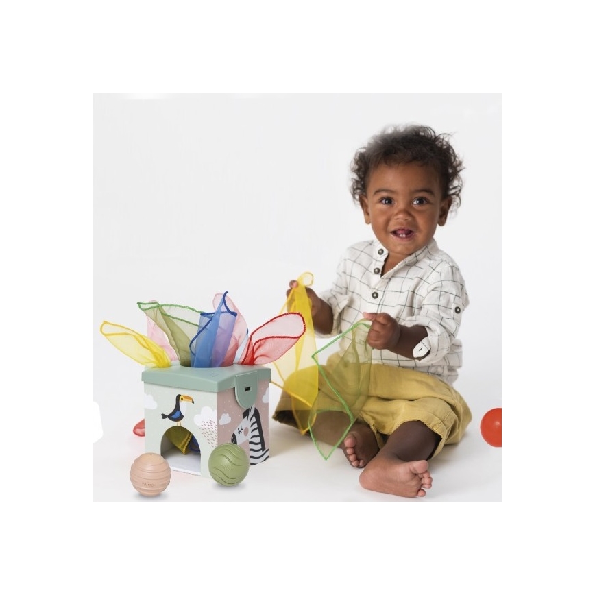 Taf Toys - Interaktive Spielbox MAGIC BOX