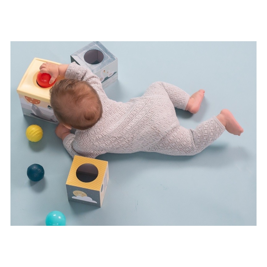Taf Toys - Interaktives Spielset Nordpol