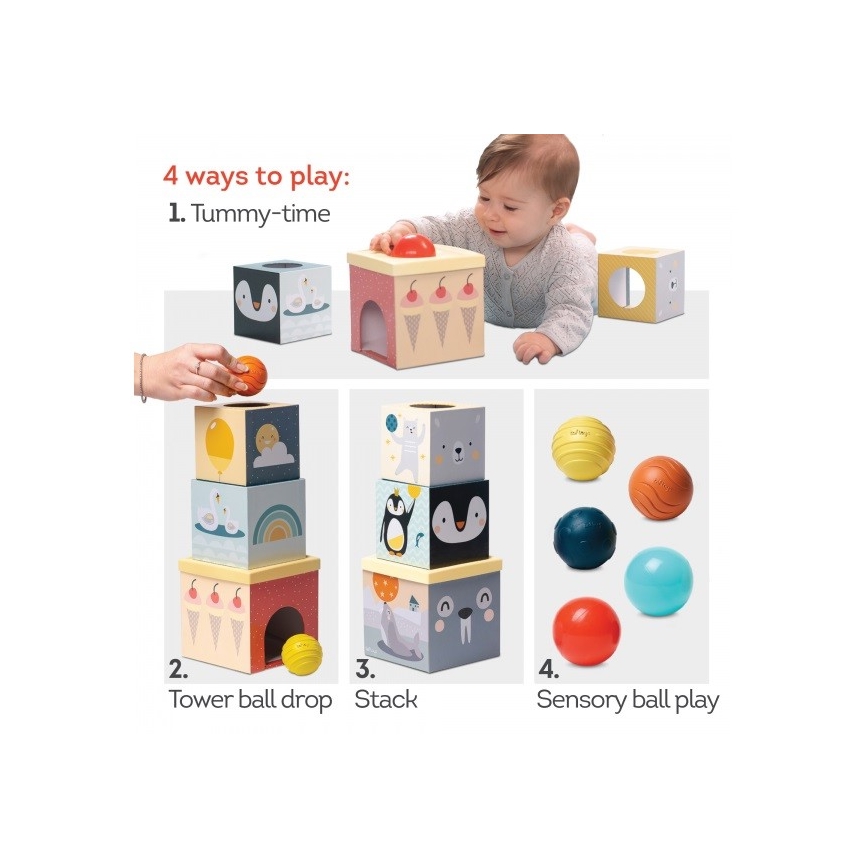 Taf Toys - Interaktives Spielset Nordpol