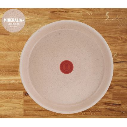 Tefal - 6-teiliges Kochgeschirr-Set INGENIO DELIGHT