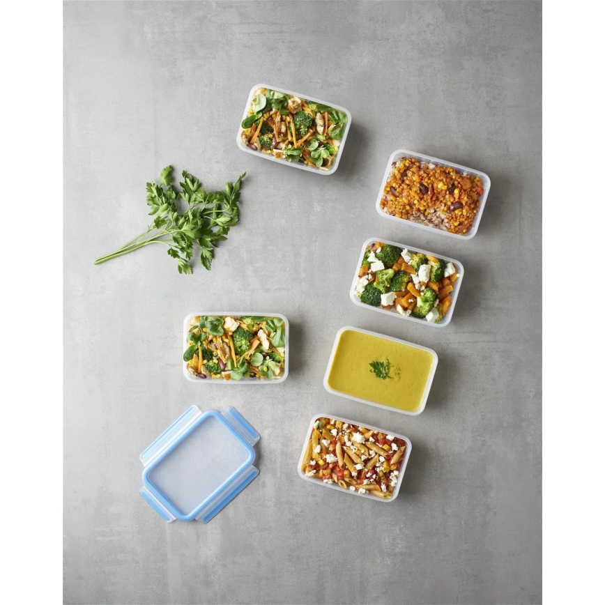Tefal - 6er-Set Frischhaltebehälter 0,8 l MASTER SEAL FRESH, blau