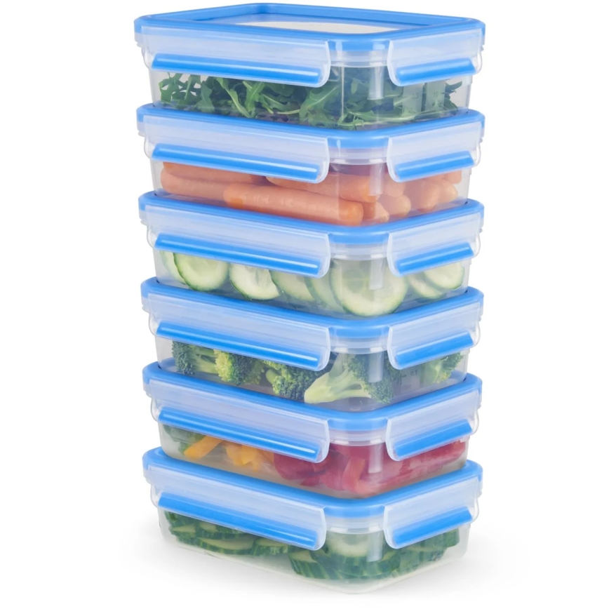 Tefal - 6er-Set Frischhaltebehälter 0,8 l MASTER SEAL FRESH, blau