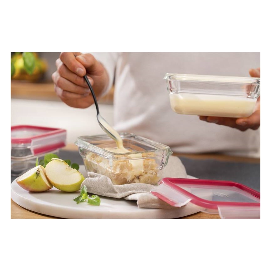 Tefal - Frischhaltedose 0,45 l MSEAL GLASS rot/Glas