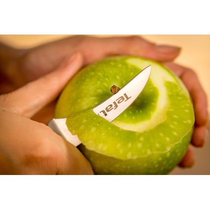 Tefal - Edelstahl-Ausstechmesser ICE FORCE 7 cm glänzender Chrom/Schwarz