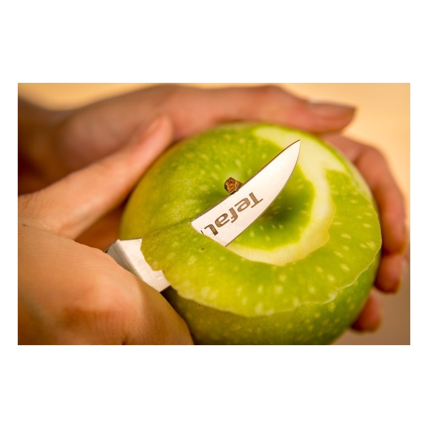 Tefal - Edelstahl-Ausstechmesser ICE FORCE 7 cm glänzender Chrom/Schwarz